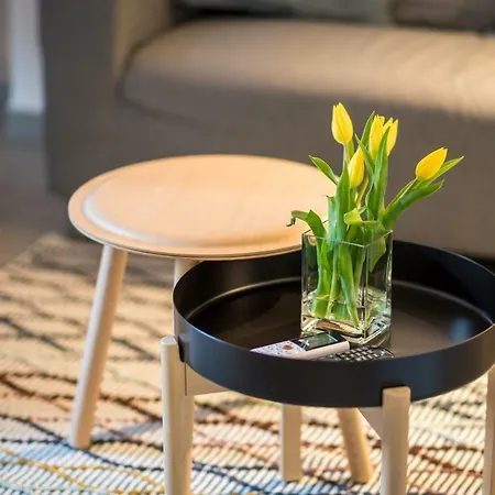 Marbi Centar Apartment Split
